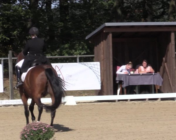 Reitturnier Meinerzhagen 2019