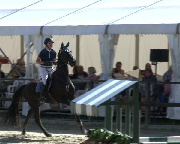 Reitturnier Albersloh 2019