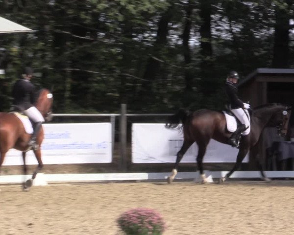 Reitturnier Meinerzhagen 2019