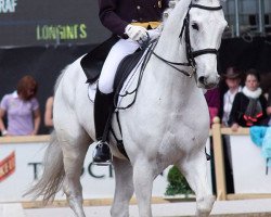 dressage horse Farinelli 14 (Westphalian, 1999, from Florestan I)