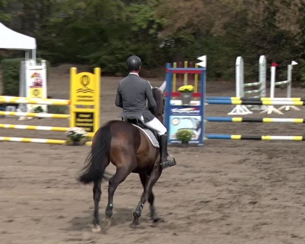 Reitturnier Berlin-Rudow 2019