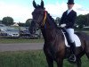 dressage horse Dr. Doodle (Oldenburg, 2008, from Damsey FRH)