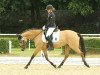 dressage horse Double Dash (German Riding Pony, 2004, from Danny Gold)