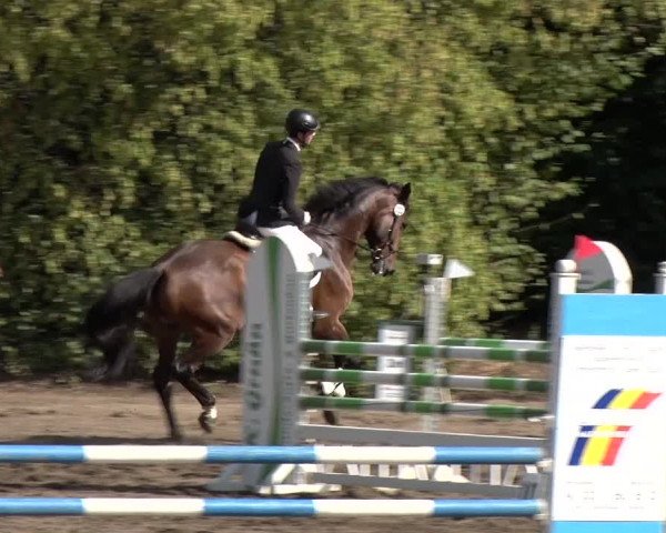 Reitturnier Berlin-Rudow 2019