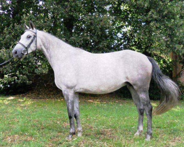 broodmare Colleen (unknown, 2007, from Canterbury)