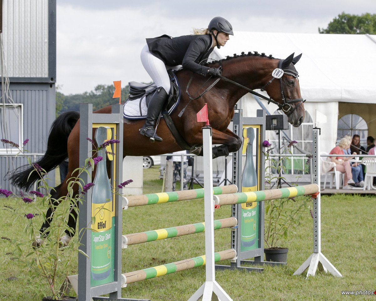 Springpferd Ciewi LA (Westfale, 2011, von Captain Fire)