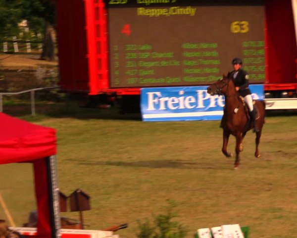 Reitturnier Altmittweida 2019