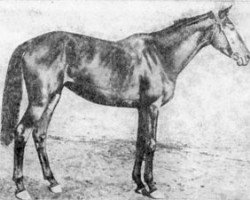 broodmare Fascia xx (Thoroughbred, 1941, from Flash Bye xx)