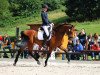 broodmare Bee 2 (KWPN (Royal Dutch Sporthorse), 2008, from VDL Wittinger)