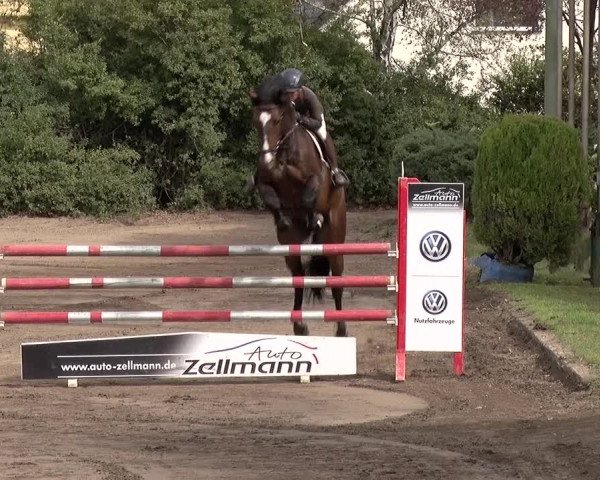 Reitturnier Berlin-Rudow 2019