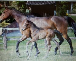 broodmare Makobine (Oldenburg, 2002, from I Need You)