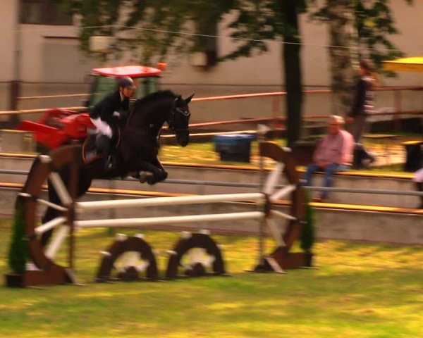 Reitturnier Altmittweida 2019