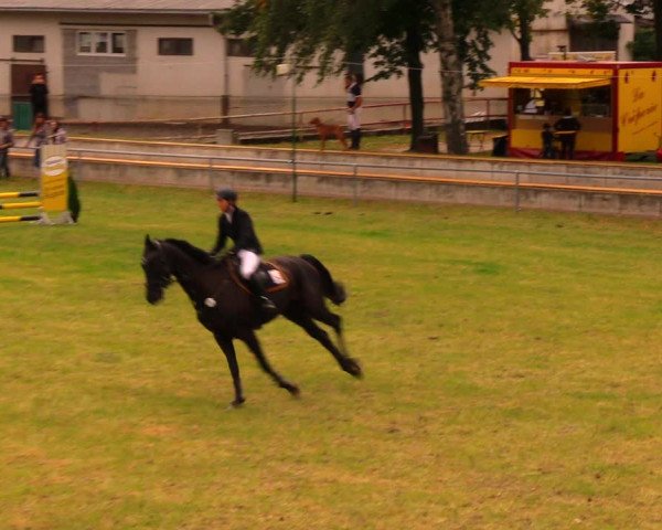 Reitturnier Altmittweida 2019
