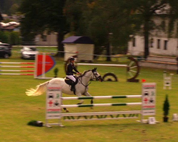 Reitturnier Altmittweida 2019
