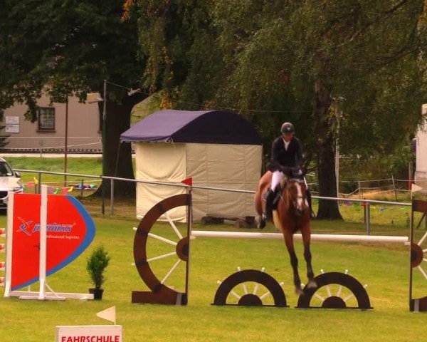Reitturnier Altmittweida 2019