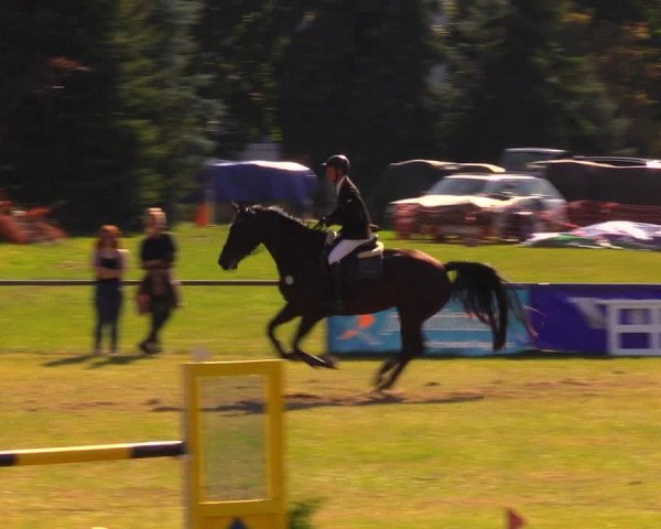 Reitturnier Altmittweida 2019