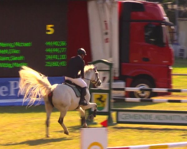 Reitturnier Altmittweida 2019