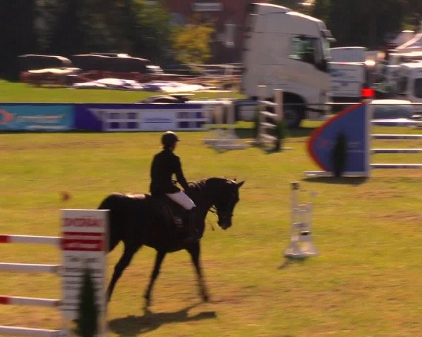 Reitturnier Altmittweida 2019