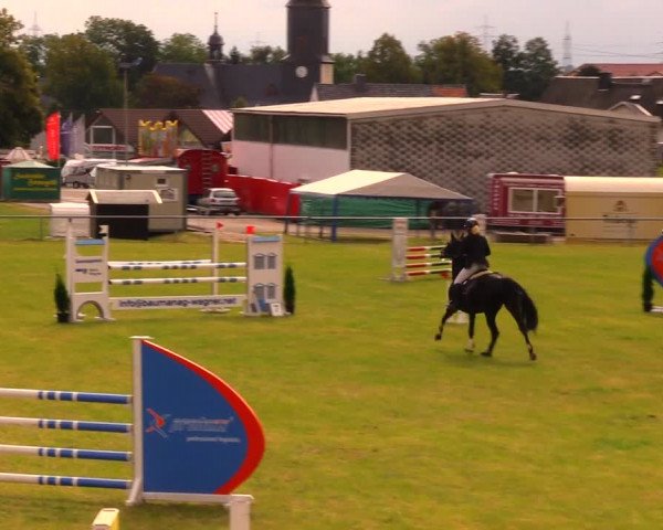 Reitturnier Altmittweida 2019