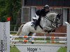 jumper Claus 58 (Oldenburg show jumper, 2010, from Berlin)