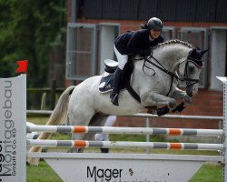 jumper Claus 58 (Oldenburg show jumper, 2010, from Caspar (Berlin))