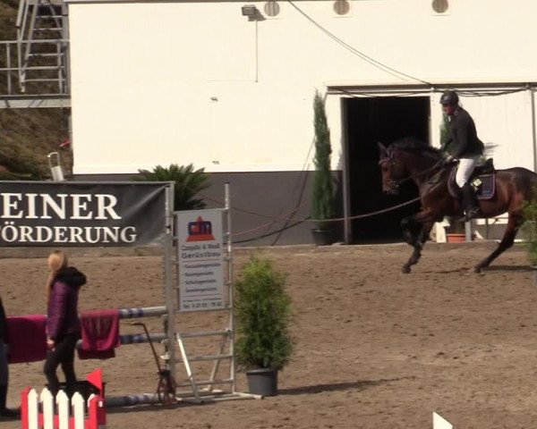 Reitturnier Siegen 2019
