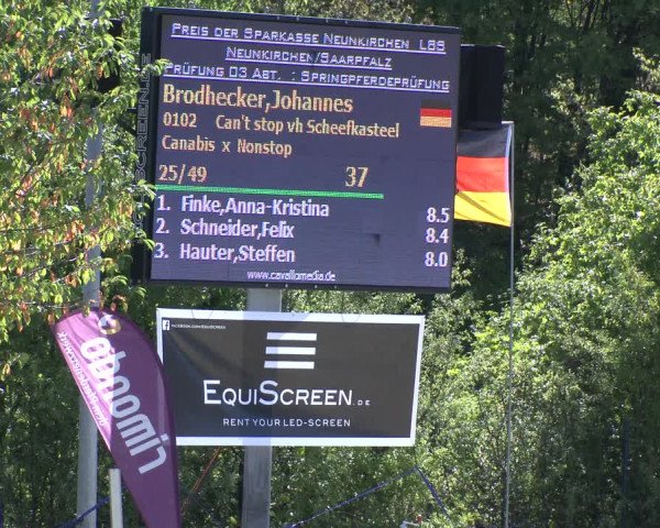 Reitturnier Neunkirchen-City 2019