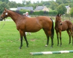 broodmare Republica Mail (Selle Français, 2005, from Papillon Rouge)