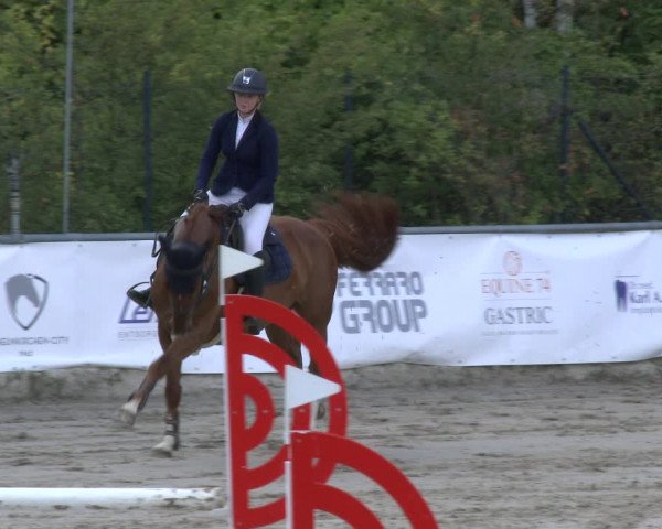 Reitturnier Neunkirchen-City 2019