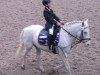 dressage horse Macho 45 (German Riding Pony, 1996)