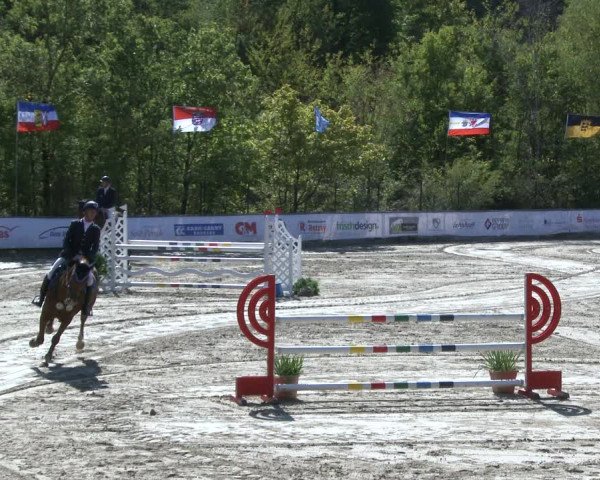 Reitturnier Neunkirchen-City 2019