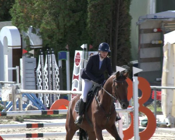 Reitturnier Neunkirchen-City 2019