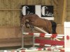 jumper Daisy Mail (+) (Swiss Warmblood, 2013, from Quite Easy I)