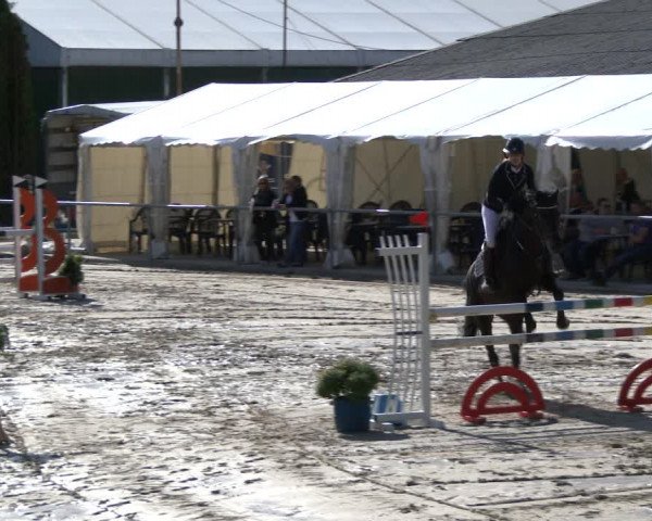 Reitturnier Neunkirchen-City 2019