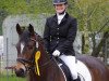 dressage horse Aberfeldy (Trakehner, 2009, from Buddenbrock)