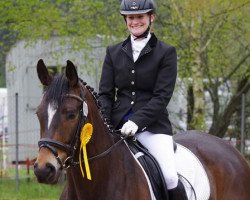 dressage horse Aberfeldy (Trakehner, 2009, from Buddenbrock)