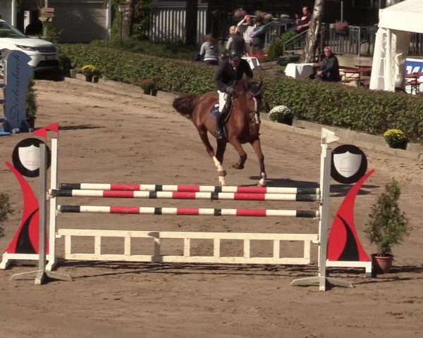 Reitturnier Siegen 2019