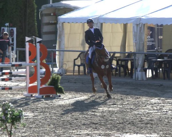 Reitturnier Neunkirchen-City 2019