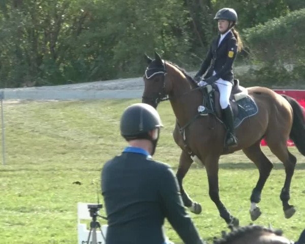 Reitturnier Nußdorf 2019