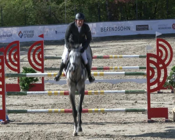 Reitturnier Neunkirchen-City 2019