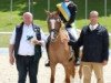 dressage horse Donna Daria 8 (German Riding Pony, 2013, from Danny Gold)