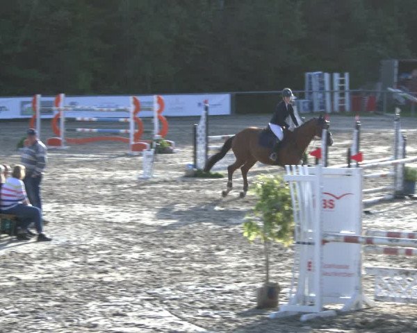Reitturnier Neunkirchen-City 2019