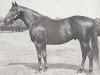 stallion Vertex xx (Thoroughbred, 1954, from The Rhymer xx)