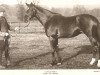 stallion Littleton xx (Thoroughbred, 1900, from Right-Away xx)