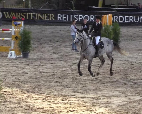 Reitturnier Siegen 2019