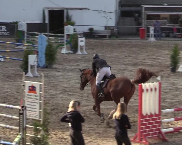 Reitturnier Siegen 2019
