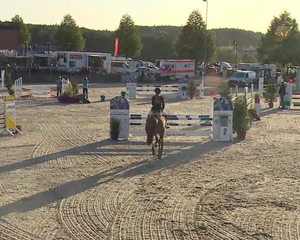 Reitturnier Küps/Ofr. 2019