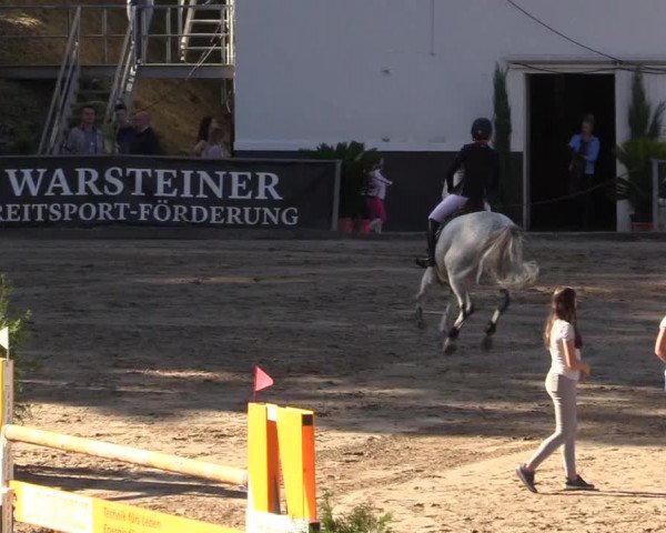 Reitturnier Siegen 2019