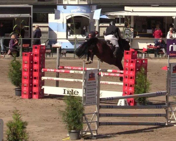 Reitturnier Siegen 2019
