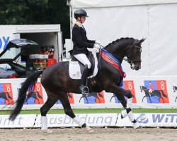 dressage horse Flora de Mariposa OLD (Oldenburg, 2012, from Fürstenball)